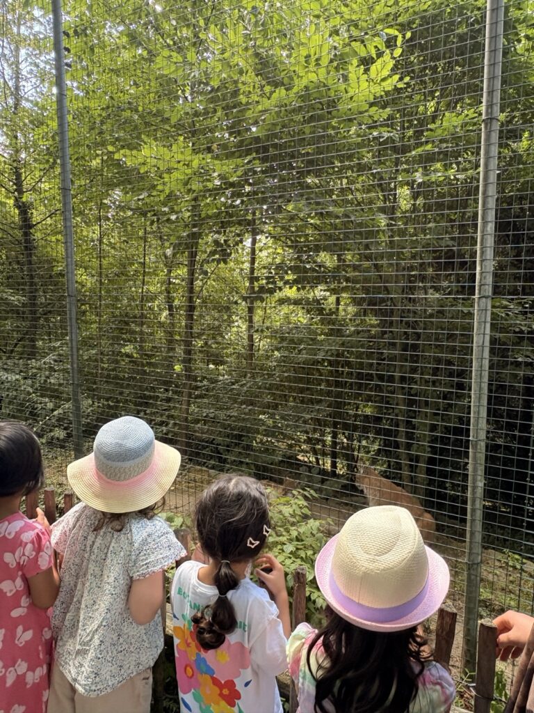 Ausflug zum Tierpark